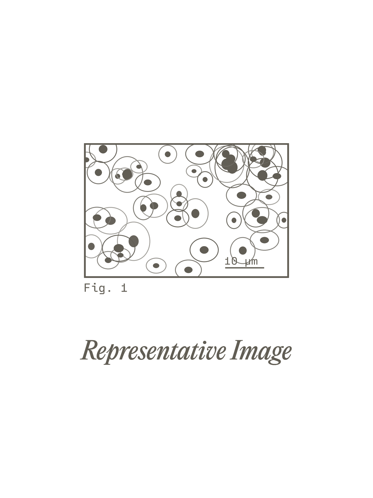 Representative Image t-shirt print