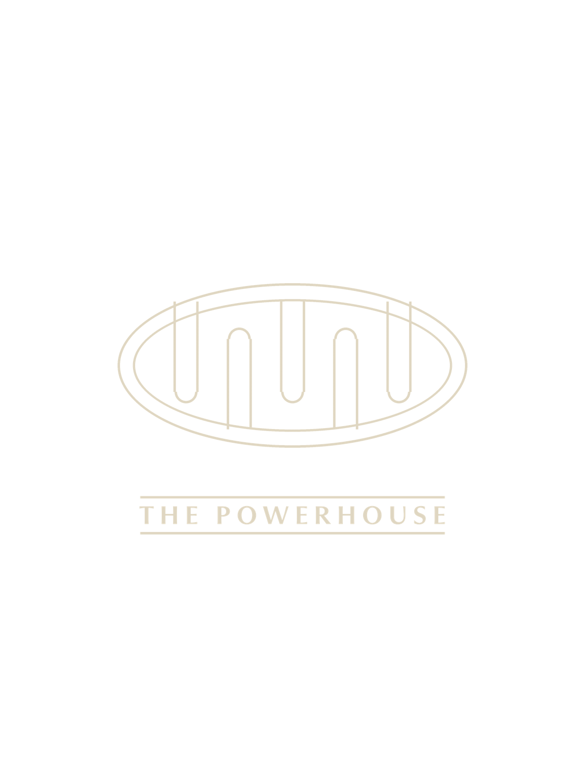 The Powerhouse t-shirt print